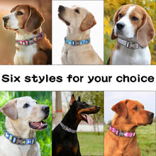 Load image into Gallery viewer, Personalized Pet Collar
