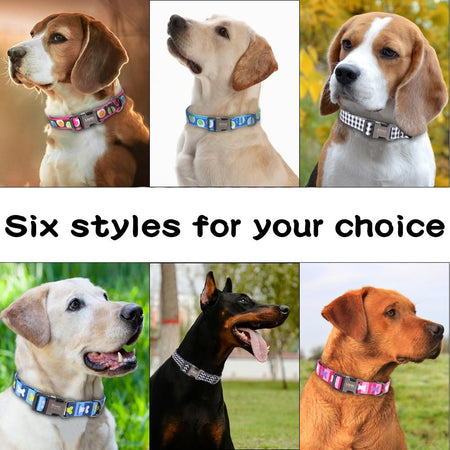 Personalized Pet Collar