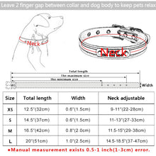 Load image into Gallery viewer, AiruiDog Adjustable Personalized Dog Collar Leather Puppy ID Name Custom Engraved XS-L
