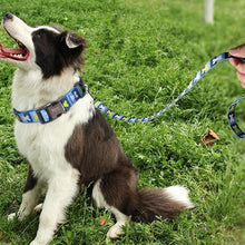 Load image into Gallery viewer, Personalized Pet Collar
